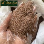 اسفرزه هندی درجه یک - Image 3