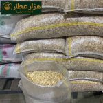 اسلایس سیر (سیر خشک) - Image 8