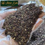 اسپند سرت افغان