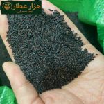 بالنگون (تخم شربتی درشت ) - Image 3