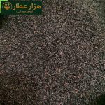 بالنگون (تخم شربتی درشت ) - Image 2