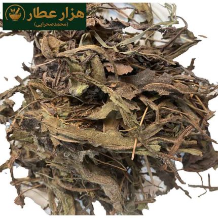 برگ گل گاوزبان