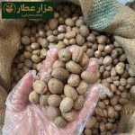 جوز هندی اعلا(جوز بویا) - Image 2