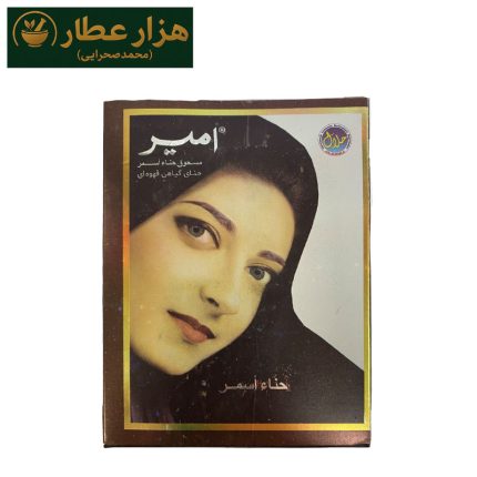 حنا امیر (ایرانی) قهوه ای