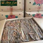 دارچین قلم گلسرخی - Image 3