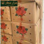 دارچین قلم گلسرخی - Image 6