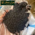ریحان شربتی لیزری - Image 3