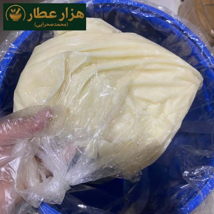 سقز کوهی