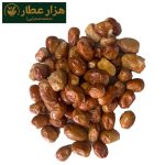 سنجد شاهرودی