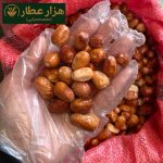 سنجد شاهرودی - Image 2