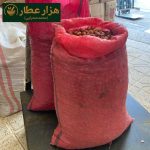 سنجد شاهرودی - Image 3