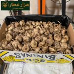 سیر سیاه فله کیلویی (سیر همدان) - Image 2