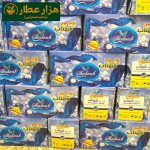 مهنا خانواده بی بو(شهناب) - Image 2