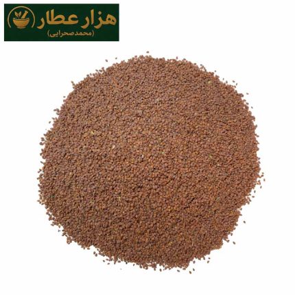قدومه شهری