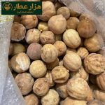 لیمو حسینی (ایرانی) - Image 2