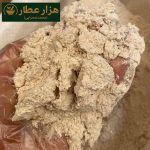 جوانه گندم