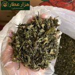 چای سبز ایرانی - Image 2