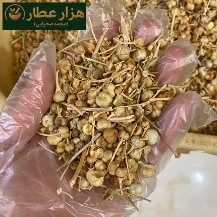 اسپنده قپه (اسپند نخودی)