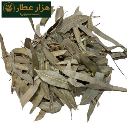 برگ اکالیپتوس