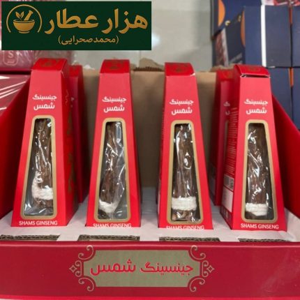 جینسینگ شمس تکی