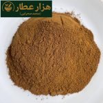 دارچین ساب بزرگ صحرایی