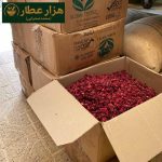 غنچه چای ترش ایرانی - Image 5