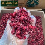 غنچه چای ترش ایرانی - Image 2