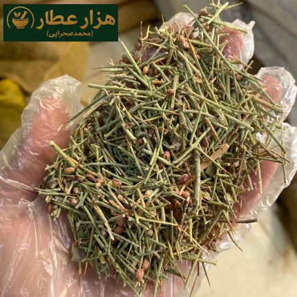 خارشتر